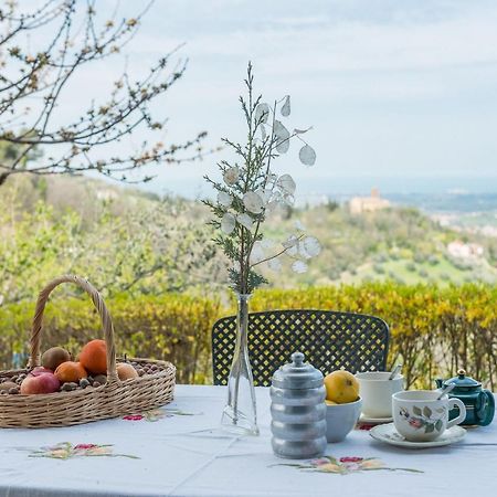 La Nocciola By Posarellivillas Cerreto Castello Exteriör bild
